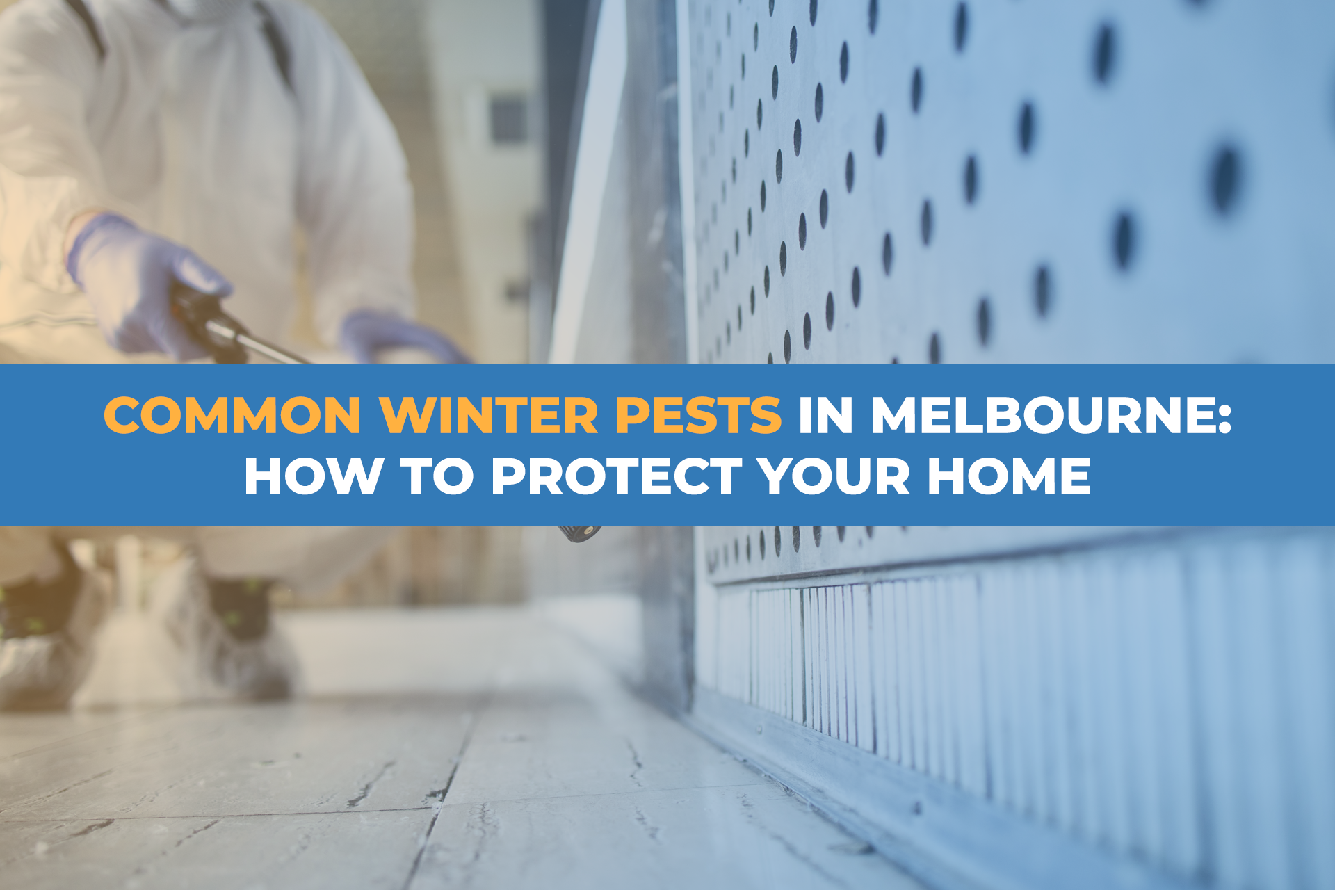 Common Winter Pests in Melbourne: How to Protect Your Home