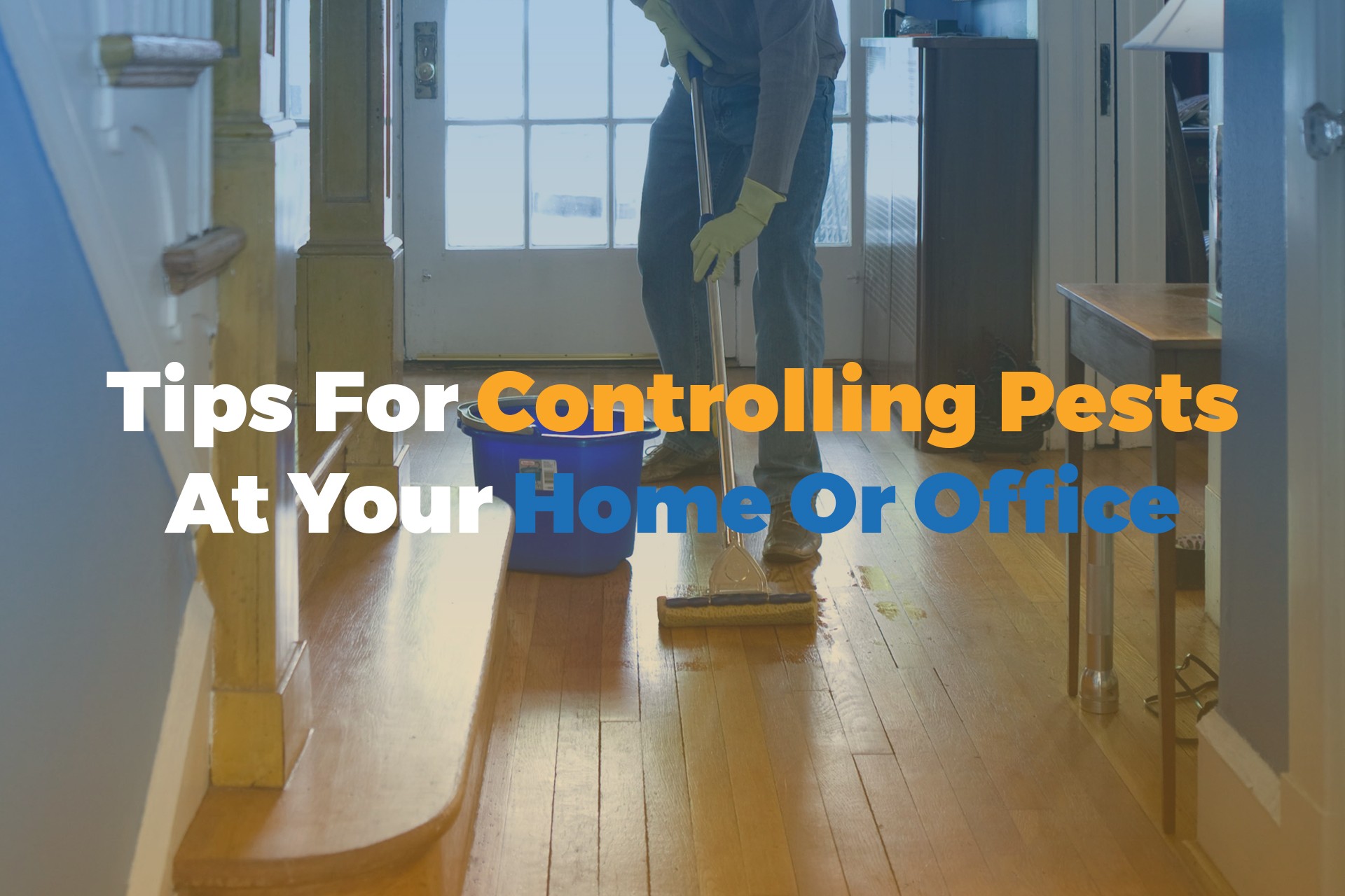 Tips For Controlling Pests At Your Home Or Office
